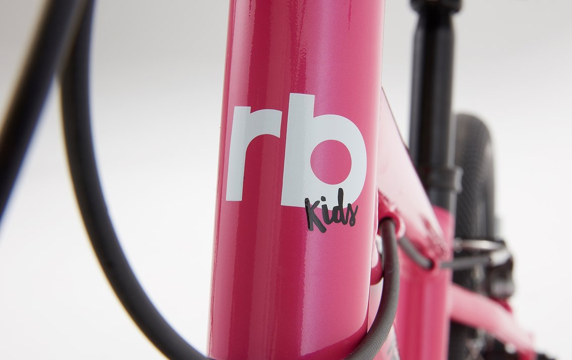 Ridgeback dimension 16 sales pink
