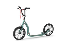 Load image into Gallery viewer, Yedoo Friday Alloy Adult Kick Scooter-Silver Green