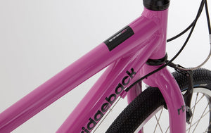 Ridgeback Dimension 20" Kids Bike Purple WeeBikeShop